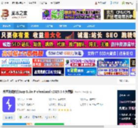 Burp Suite Pro免费下载 渗透测试软件Burp Suite Professional v2025.5.4 免费版 下载-脚本之家