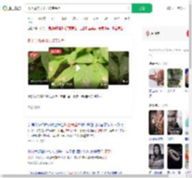 树上竟然开出了珠宝吊坠_360搜索