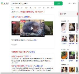 夫妻吃来偷柑橘的竹鼠后肺炎_360搜索