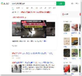 眼镜蛇进院被狗狗提醒_360搜索