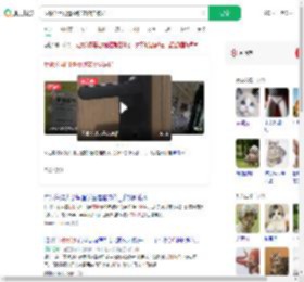 反锁公用门遭撬锁宠物猫被扔_360搜索