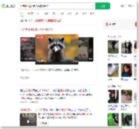 小浣熊出逃50多天后车祸受伤_360搜索