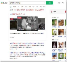 遗弃3狗崽放宠物店门口_360搜索