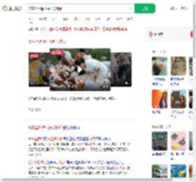 货车坠桥遭村民哄抢冻品_360搜索