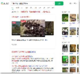 非洲动物迁徙通道遭游客阻塞_360搜索