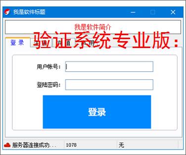 验证系统专业版：多维度软件防护方案解析
