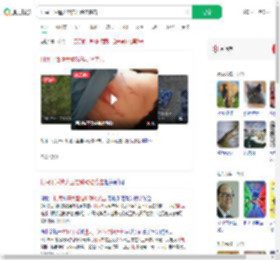 村民干活遭大型猫科动物袭击_360搜索