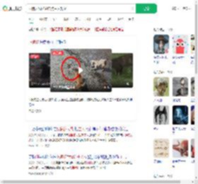 两狗大战眼镜蛇 狗主人观战_360搜索