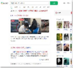 流浪狗1小时咬伤4人被打死_360搜索