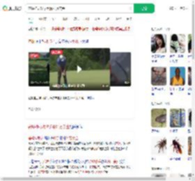 苍蝇神助攻球手赢91万美金_360搜索