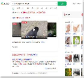 上山捡菌被迷路小熊一路跟随_360搜索