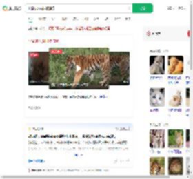 小猫误入虎园被捕食_360搜索