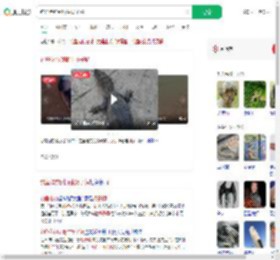 钓鱼佬钓到野生扬子鳄_360搜索