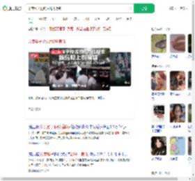 印度猴子抢钱后爬树撒钱_360搜索