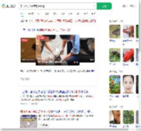 穿山甲误入闹市店主报警_360搜索