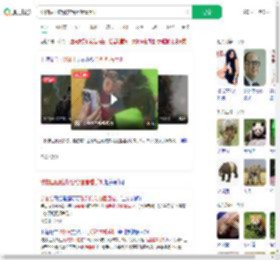 动物园回应游客给猩猩看手机_360搜索