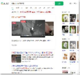 狗狗雨天叼雨布盖芝麻_360搜索