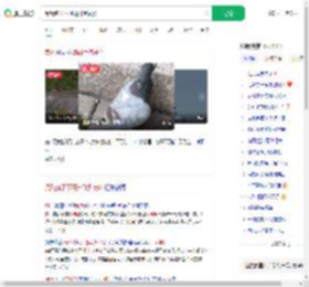 阅兵鸽子不可能飞到贵州_360搜索