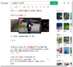 扬子鳄追击黑鱼被意外钓起_360搜索