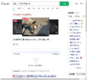 小狗被男子射伤忍痛用嘴拔针_360搜索