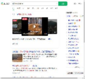 被东风5C烧饼馋到了_360搜索