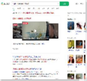 谎称吃出蟑螂敲诈11家餐馆_360搜索