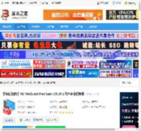 WinTools.net下载 系统优化软件 WinTools.net Premium v25.10.1 绿色多语便携版 下载-脚本之家