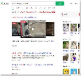 网友发自家小猫卡门上成挂件_360搜索