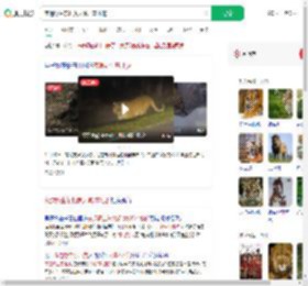 夜遇野生东北虎大喊：本地的_360搜索