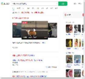 柯基误上高架桥交警护送_360搜索