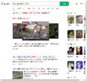 在景区遇到秦岭杀人王羚牛_360搜索