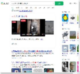 无人机黑飞撞落南飞大雁致死_360搜索