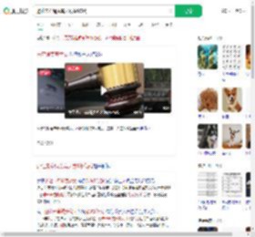 避让未牵绳贵宾犬致9级伤残_360搜索