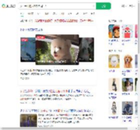 女子给小狗买冬衣挂满阳台_360搜索