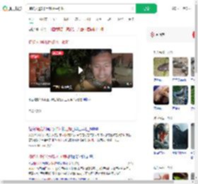 捕蛇人遭6米巨蟒水中锁喉_360搜索