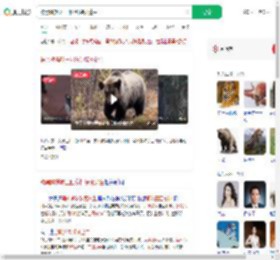 被黑熊撕咬三四分钟装死逃生_360搜索